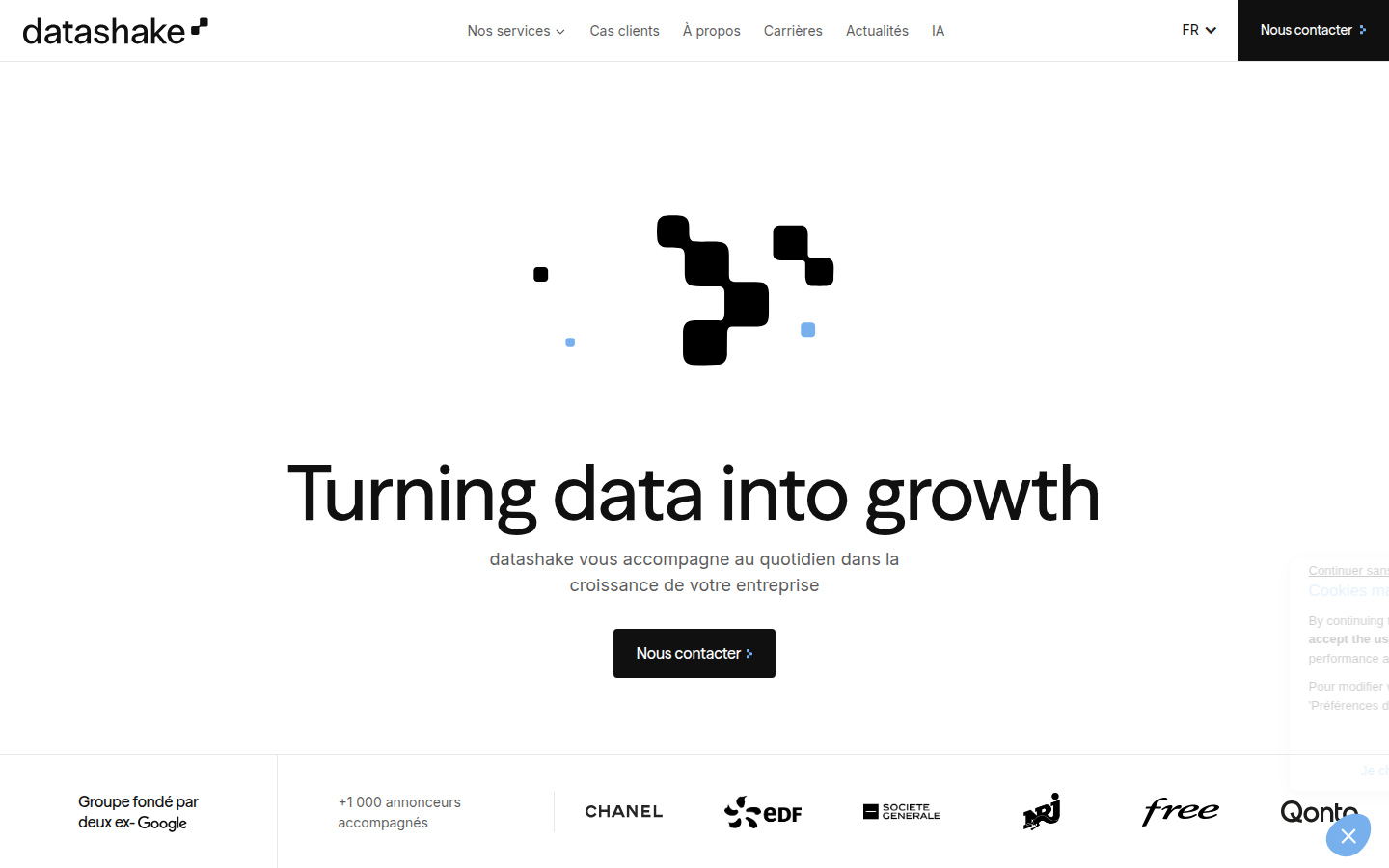 Aperçu du site datashake