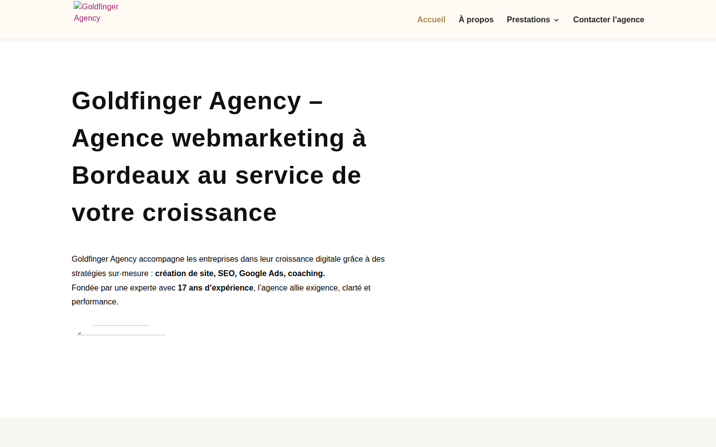 Aperçu du site Goldfinger Agency